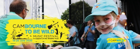 Boy watches band at Cambourne to be Wild Festival