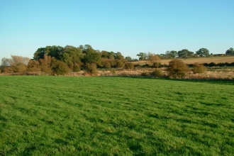 Tailby Meadow