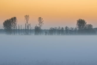 A misty sunset at the Great Fen, with orange sky and trees on the horizon