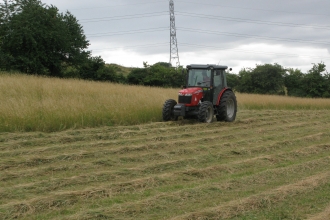 Cutting the Hayfield, Blow's Downs, Beds by Esther Clarke