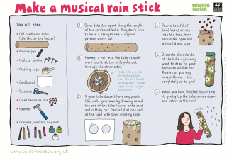 Make a rain stick