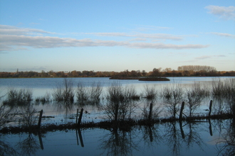Godmanchester nature reserve is on a floodplain