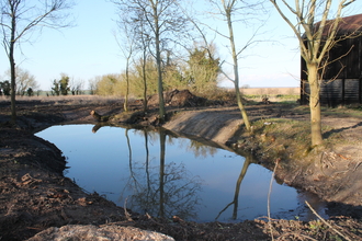 Restored Cambridgeshire pond, Jilly Naughton