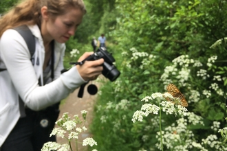 Photographing a butterfly 