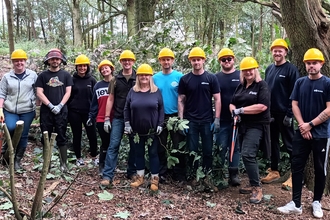 A group of people standing in a woodland area, wearing bright yellow safety hats, smiling at the camera