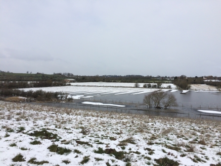 Snow at Lilbourne Meadows