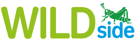 WILDside logo
