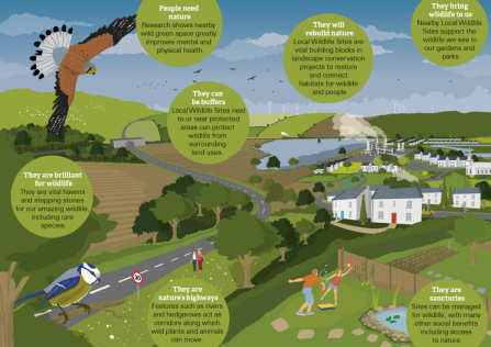 A diagram showing the importance of Local Wildlife Sites