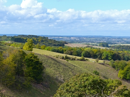 Pegsdon Hills and Hoo Bit nature reserve
