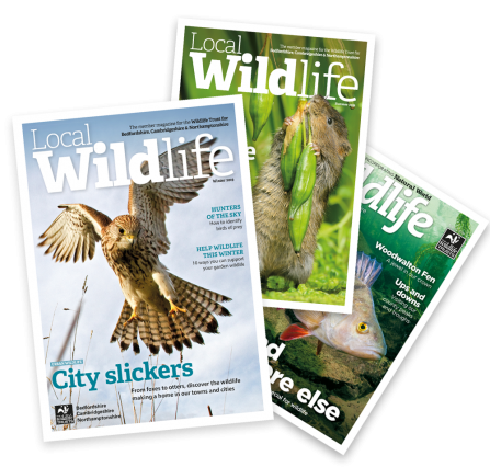 A fan of recent Local Wildlife magazines