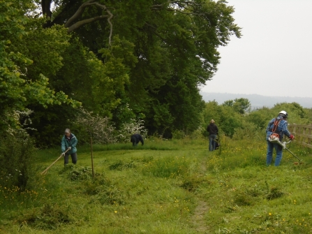 Blows Downs Volunteers cutting willowherb