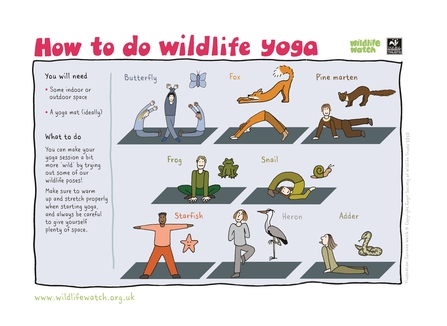 Wildlife yoga