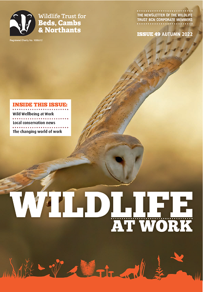 Wildlife at Work cover Autumn 2022 