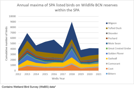 Graph showing maximum counts of waterbird species 