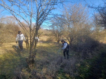 Corporate staff helping with coppicing on a wintery day