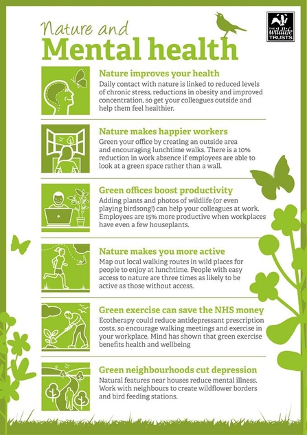 Poster titled "Nature and Mental Health". Describing the advantages of nature, green offices, green exercises ad green neighbourhoods on mental and physical health 