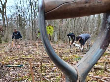 View through a spade handle at a corporate group working in a woodland helping with habitat management