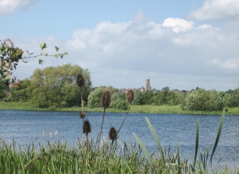 A scene from Irthlingborough Lakes and Meadows