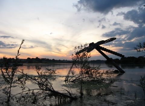 Pitsford Reservoir credit John Showers