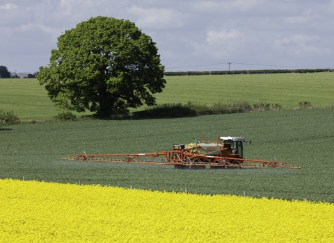 Crop spraying on a green field bordered by a field of oil seed rape