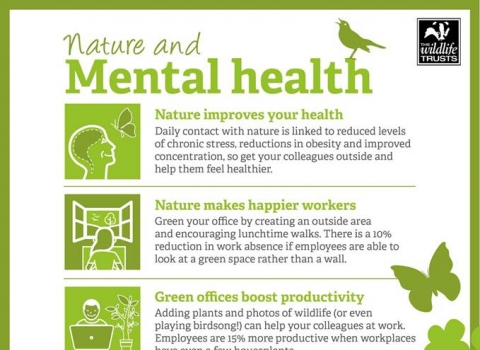 Nature and Mental Health Infographic