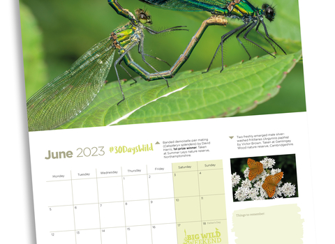 2023 BCN Calendar - June Mock-up