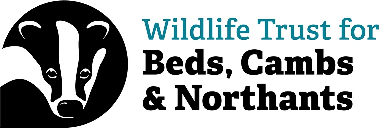 Home | Wildlife Trust for Beds, Cambs & Northants