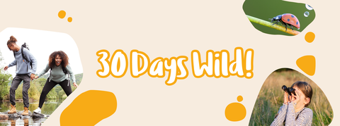 Three photos shown in bubble shapes. A woman and a man having fun crossing stepping stones, a young girl looking through binoculars and a ladybird on a stem