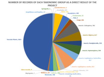 A graph showing the number of records generated for each taxonomic group through the WILDside Project