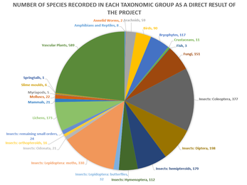 A graph showing the number of species recorded for each taxonomic group through the WILDside Project