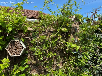 Bug hotel