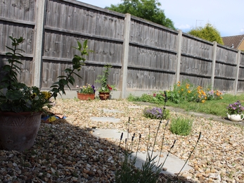 Gravel wildlife garden by Adam Watts