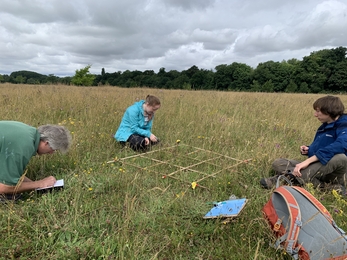 Interns and volunteers conducting a grassland survey at Trumpington Meadows