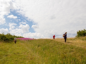 Survey at Dunstable Downs by Eglė Vičiuvienė