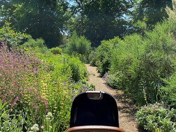 Arthur at the park