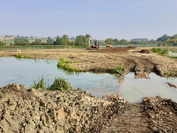 Gull Island Summer Leys Ben Newton