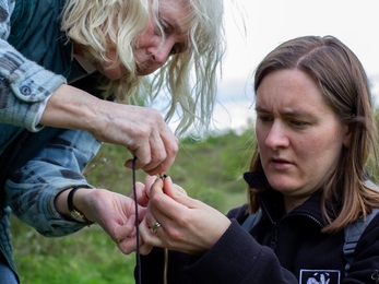 Meet the Volunteer - Sharon Stilliard | Wildlife Trust for Beds Cambs ...