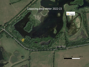 Map showing coppice section 