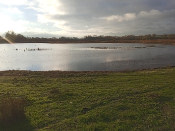 The scrape at Summer Leys