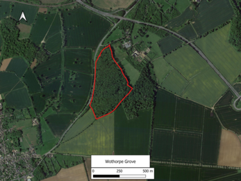 Modern aerial image showing Wothorpe Grove