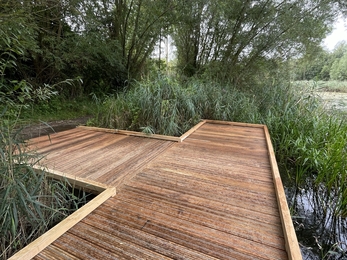 Pond dipping platform