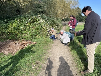 People crouch down whilst photographing a patch of brambles in the sun