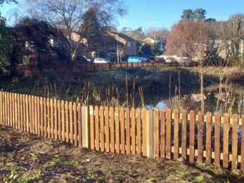 New fence Cut-throat Meadow Aidan Matthews