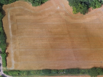 An empty field, from a birdseye view