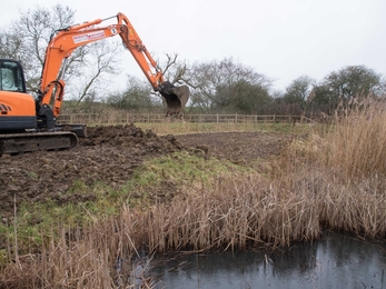 History of a Pond Grafham Pic 5