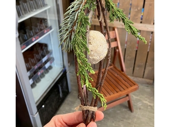 Bird Feeder created by Ramsey Heights interns