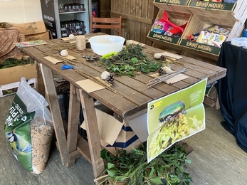 Bird Feeder Table at Ramsey Heights