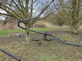 Conker run winding down a tree