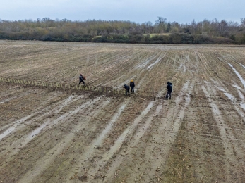 Muchwood drone image of tree planting activity