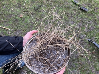 Mud kitchen spaghetti
